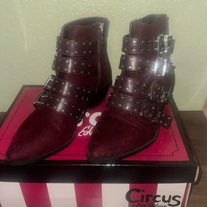 Circus by Sam Edelman Ankle booties